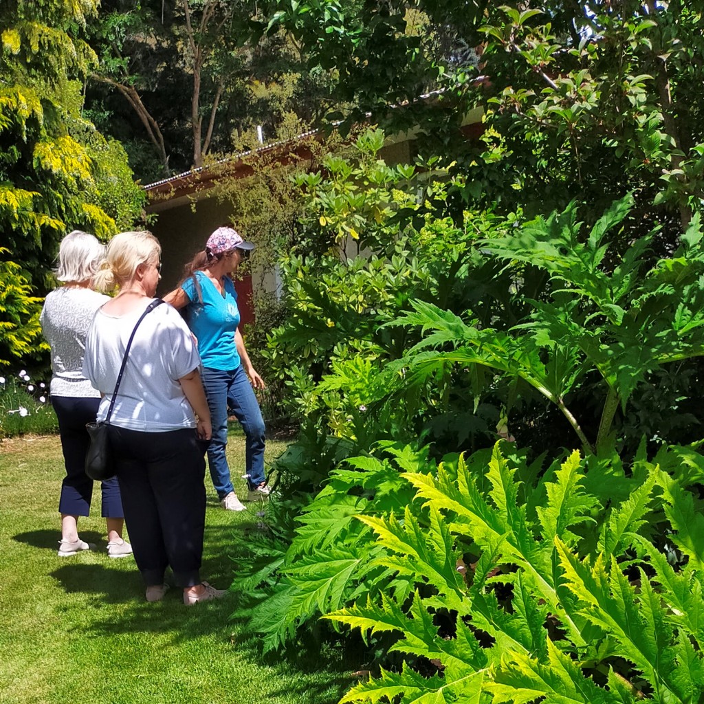 Guests admiring a lush garden