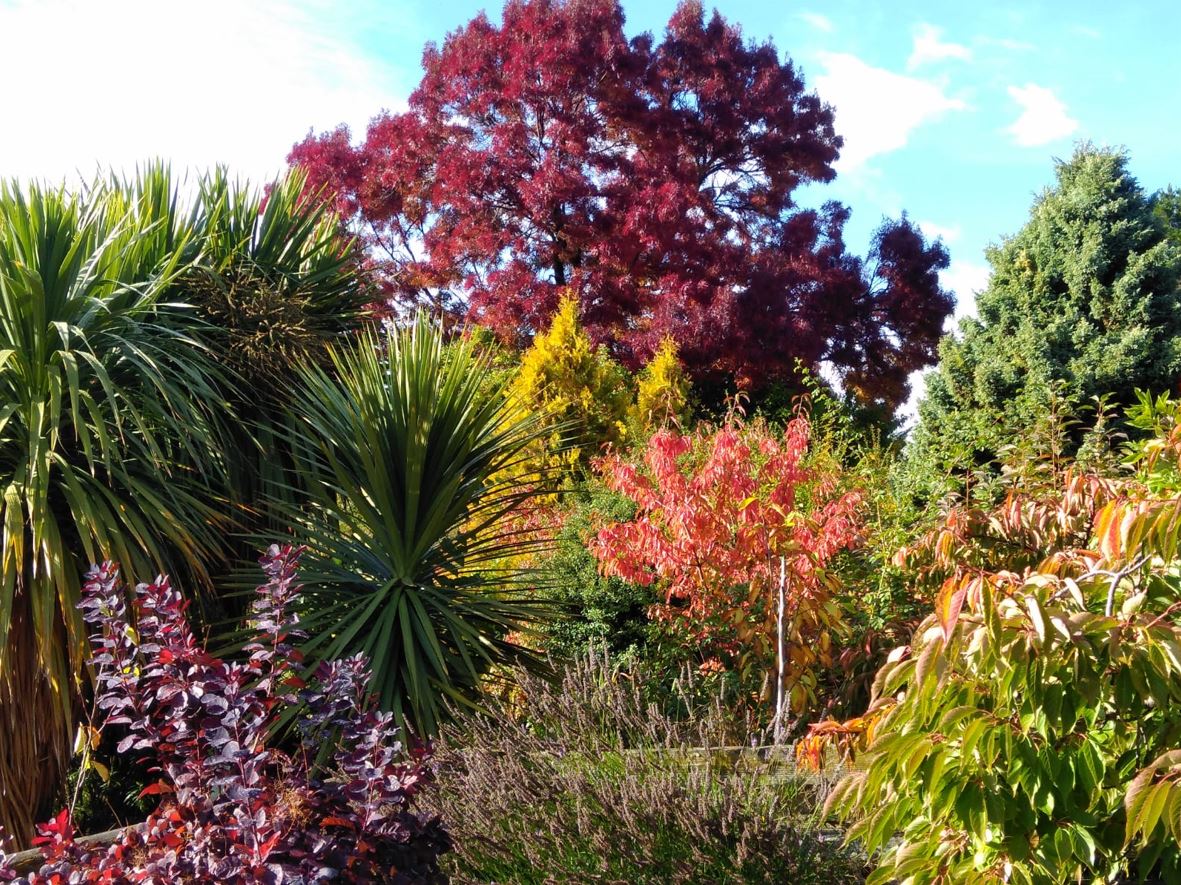 Trees in autumn colours in one of the gardens of Wanaka guided garden tours, a wonderful activity to explore Wanaka and Hawea area